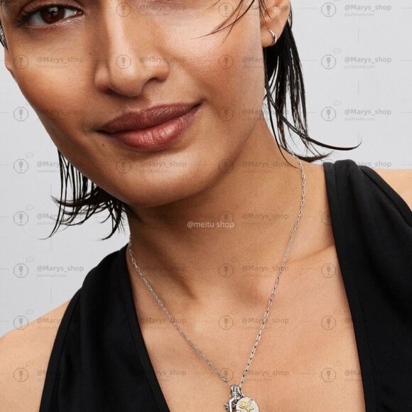 Pandora Rose Medallion Charm|Pendant|Two-tone - Picture 6 of 6